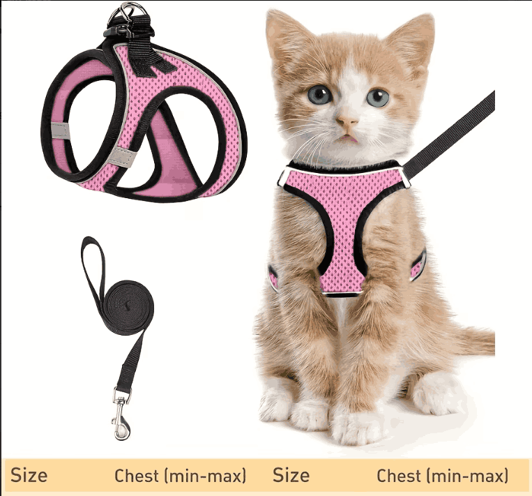 Escape-Proof Cat Harness & Leash Set