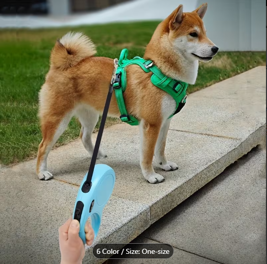 Retractable 10FT Dog Leash for Walking | NadepotRetractable 10FT Dog Leash for Walking | Nadepot