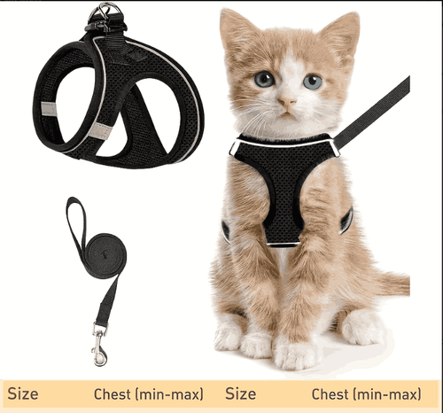 Escape-Proof Cat Harness & Leash Set