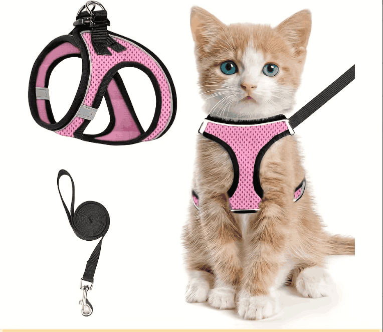 Escape-Proof Cat Harness & Leash Set