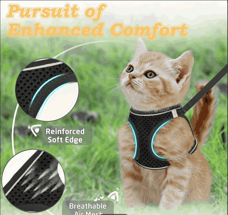 Escape-Proof Cat Harness & Leash Set