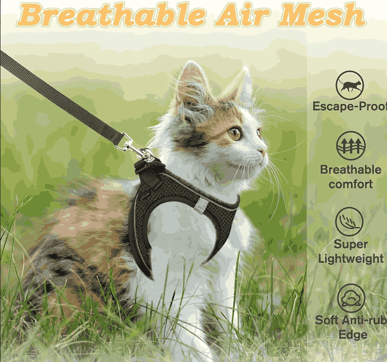 Escape-Proof Cat Harness & Leash Set