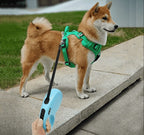 Retractable 10FT Dog Leash for Walking | cat & Dog Leash for Walking