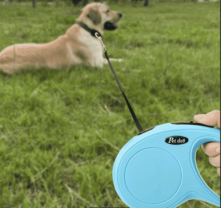 Retractable 10FT Dog Leash for Walking | cat & Dog Leash for Walking