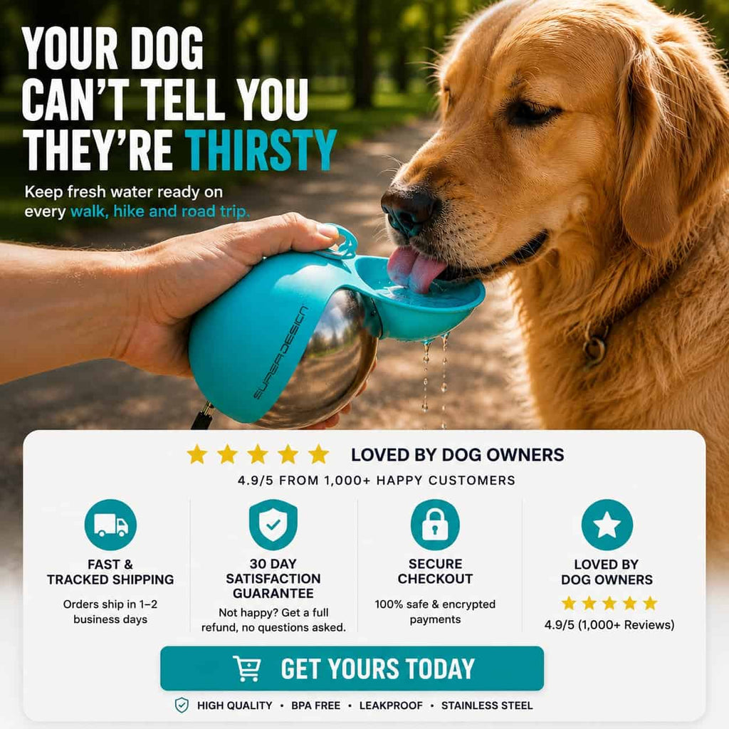 Portable Dog Water Bottle Stainless Steel Leakproof