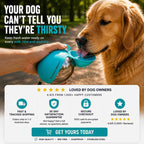 Portable Dog Water Bottle Stainless Steel Leakproof